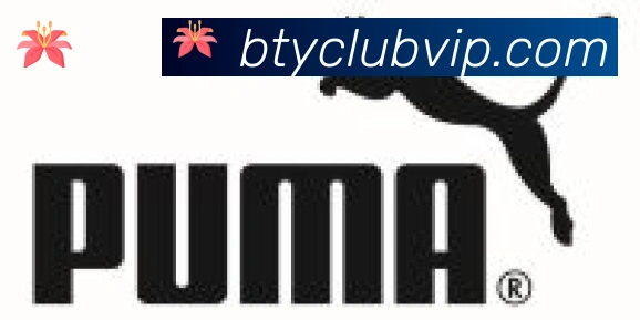 B体育官网合作伙伴